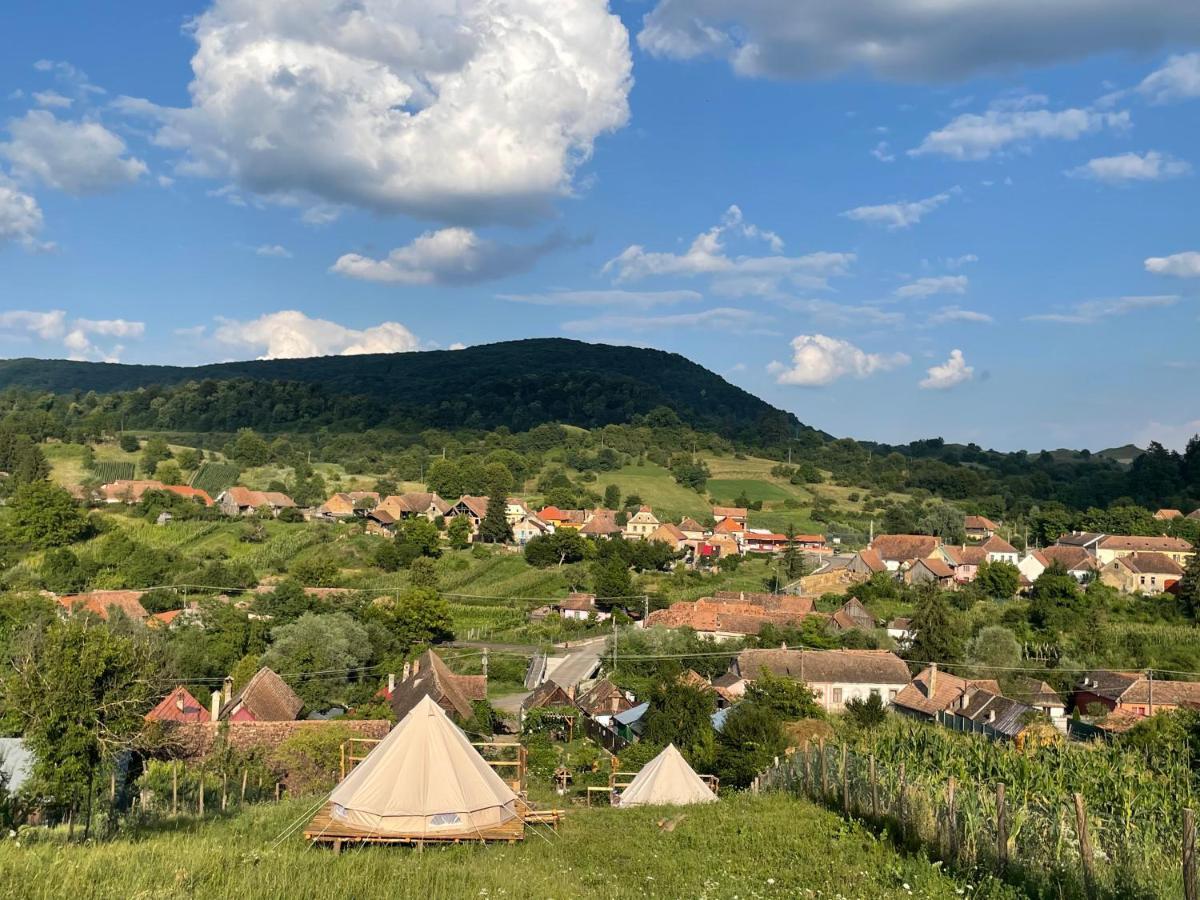 Saschiz 130/Lodging And Glamping Exterior photo