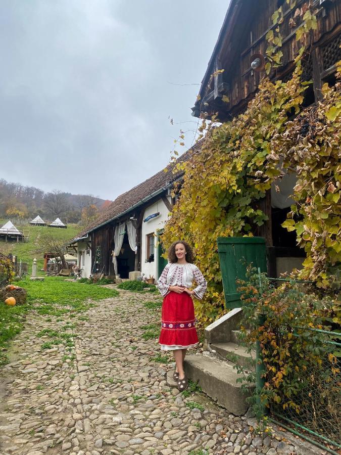 Saschiz 130/Lodging And Glamping Exterior photo