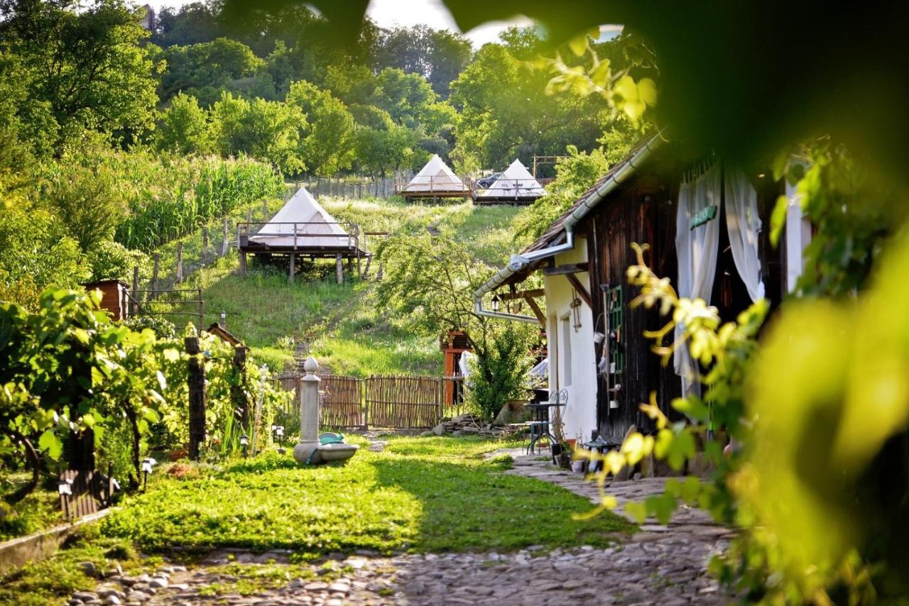 Saschiz 130/Lodging And Glamping Exterior photo